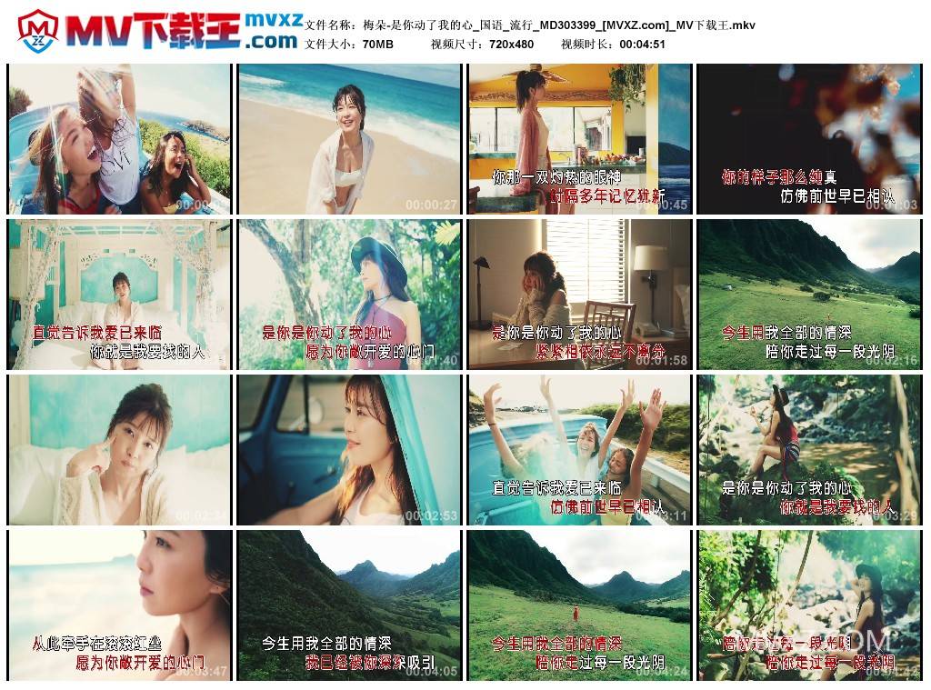 梅朵-是你动了我的心_国语_流行_MD303399